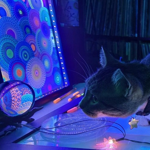 Techno Diary @ Klüb Stööpïd